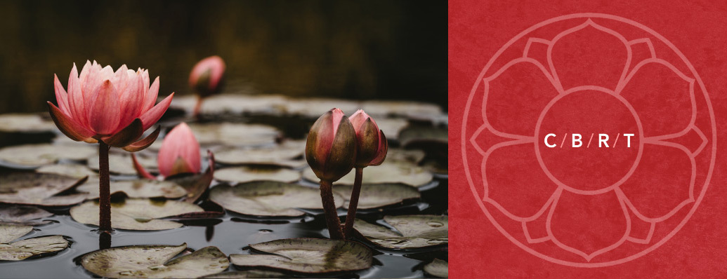 Compassion-Based Resilience Training