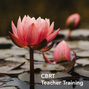 CBRT TT Level 1 + 2 - $925 in 3 installments