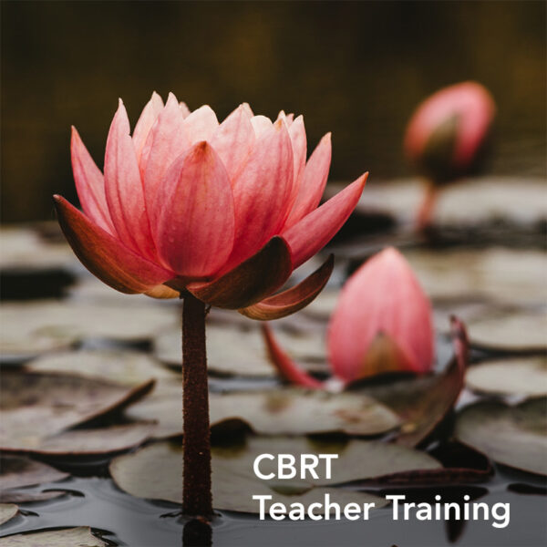 CBRT Teacher Training